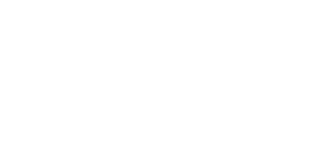 Vinestone Wine Co. logo
